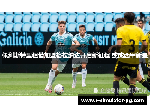 佩利斯特里租借加盟格拉纳达开启新征程 或成西甲新星