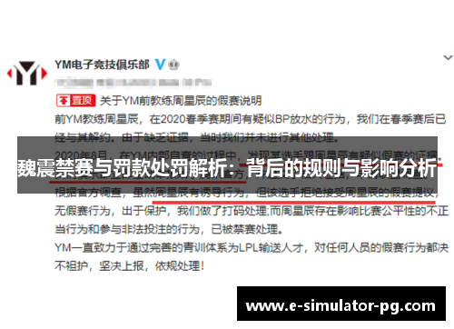 魏震禁赛与罚款处罚解析：背后的规则与影响分析