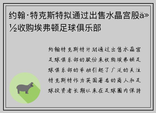 约翰·特克斯特拟通过出售水晶宫股份收购埃弗顿足球俱乐部
